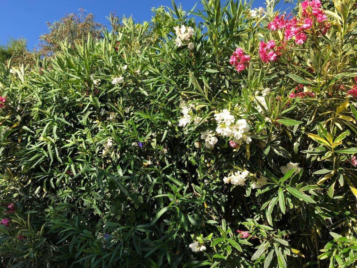 Lovely 2 Bed Apartment In Alcalalí מראה חיצוני תמונה