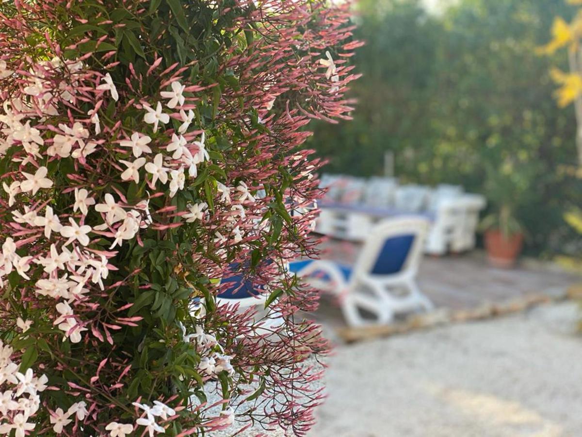 Lovely 2 Bed Apartment In Alcalalí מראה חיצוני תמונה