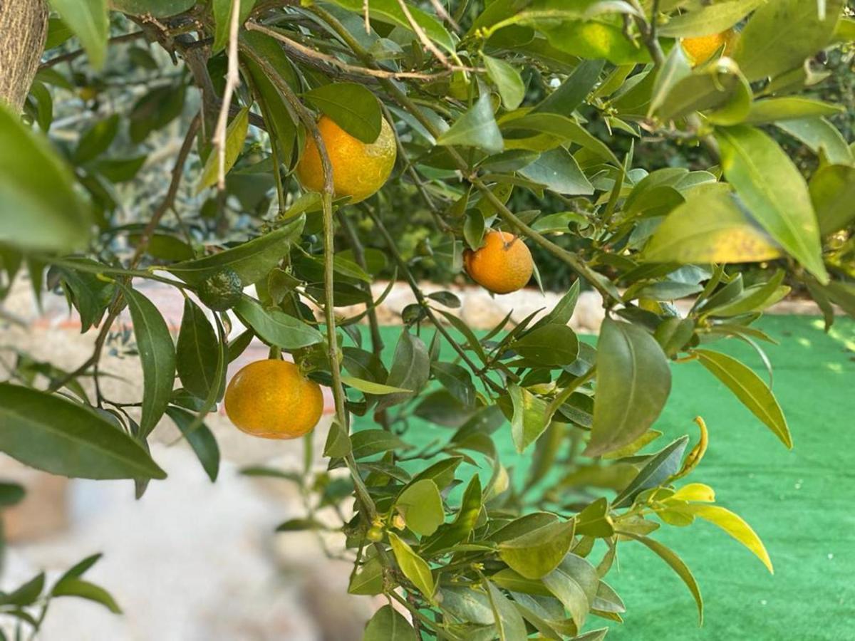 Lovely 2 Bed Apartment In Alcalalí מראה חיצוני תמונה